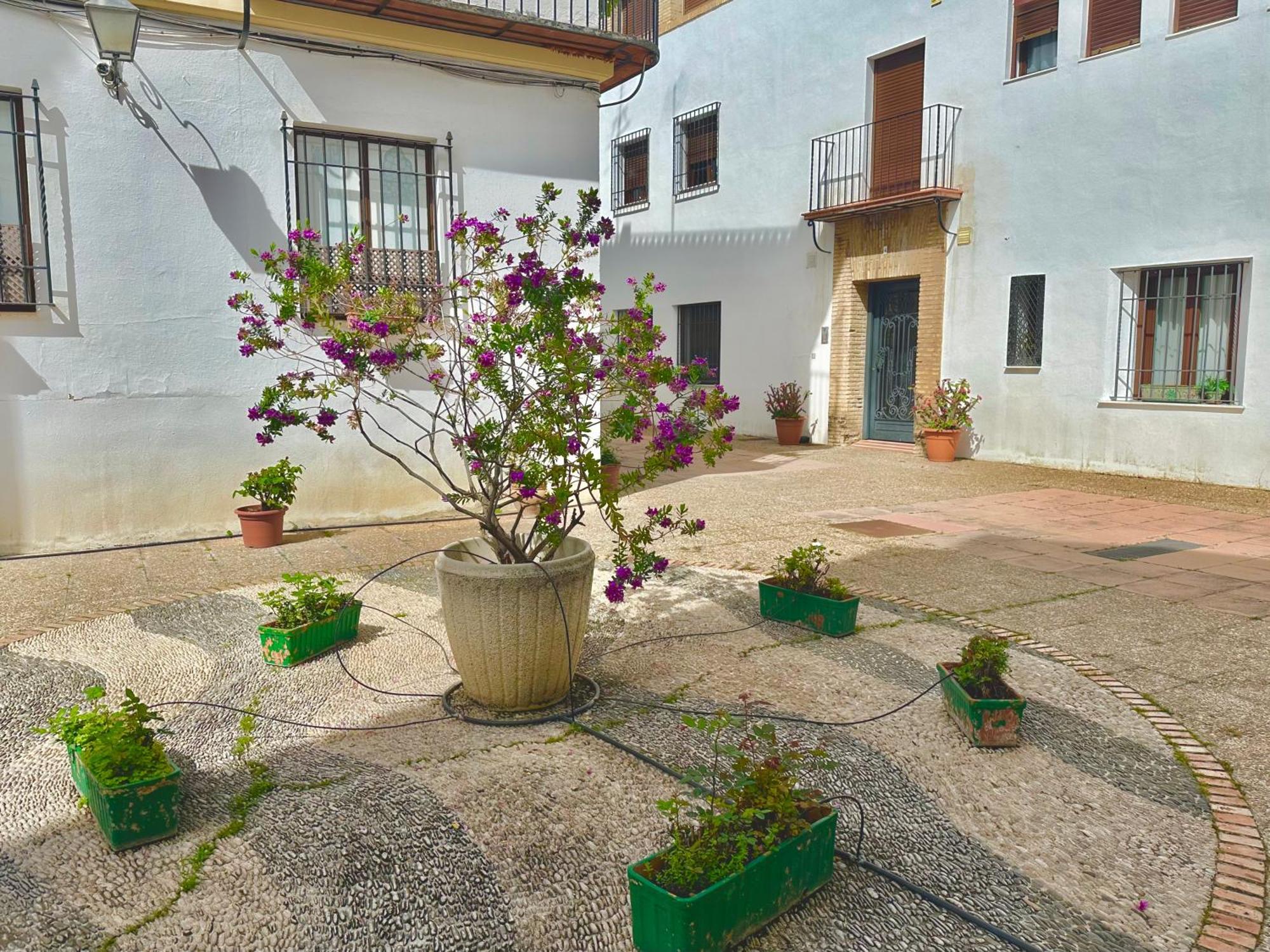 La Sacristia De San Pablo Daire Cordoba Dış mekan fotoğraf